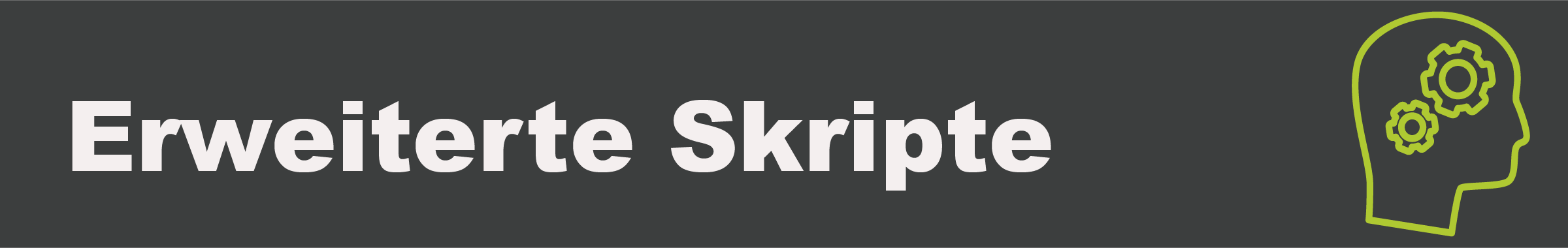 Skripte_de.png